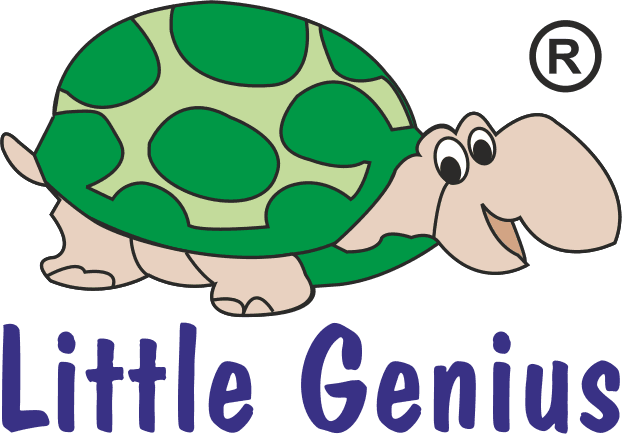 LITTLE GENIUS TOYS